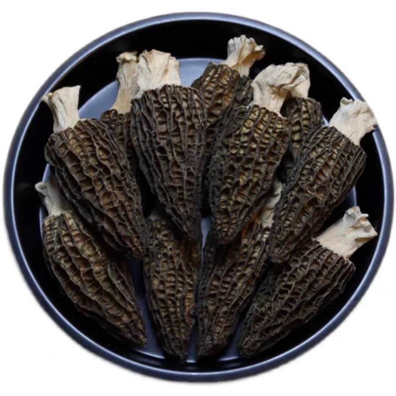 Morel - 图片 3